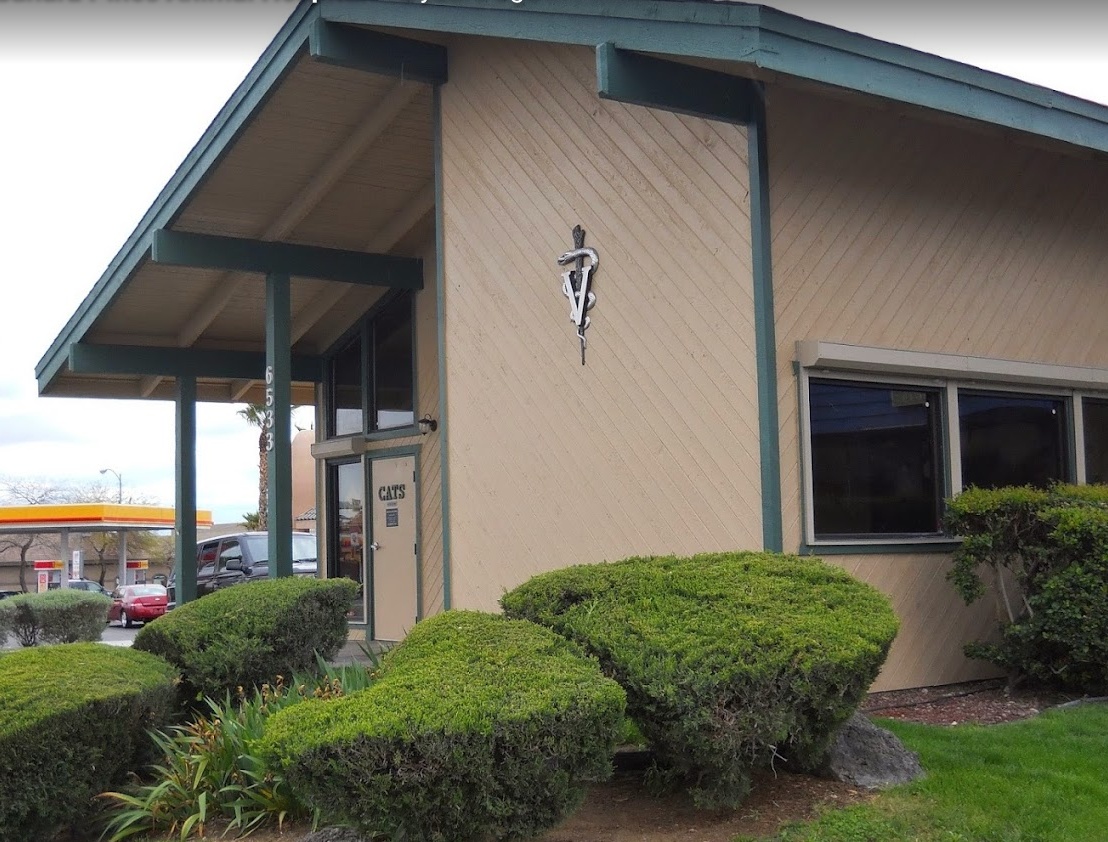 Sahara Pines Animal Hospital photo