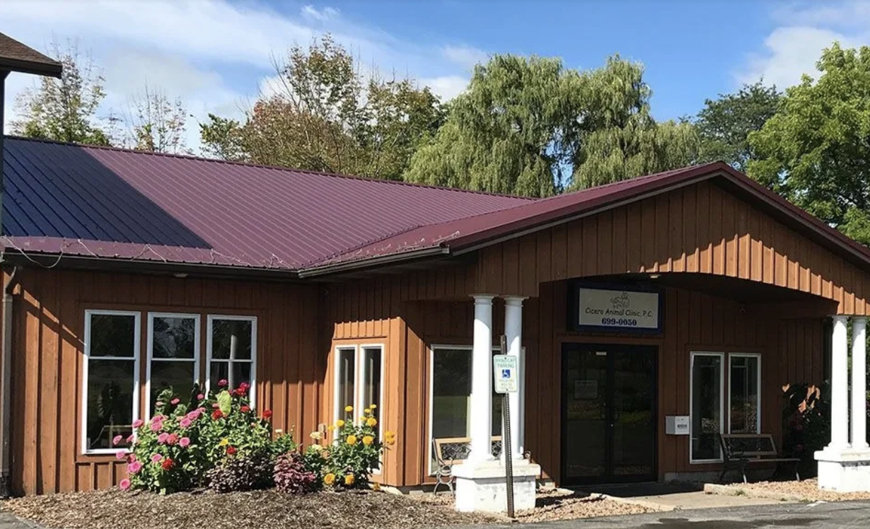 Cicero Animal Clinic photo