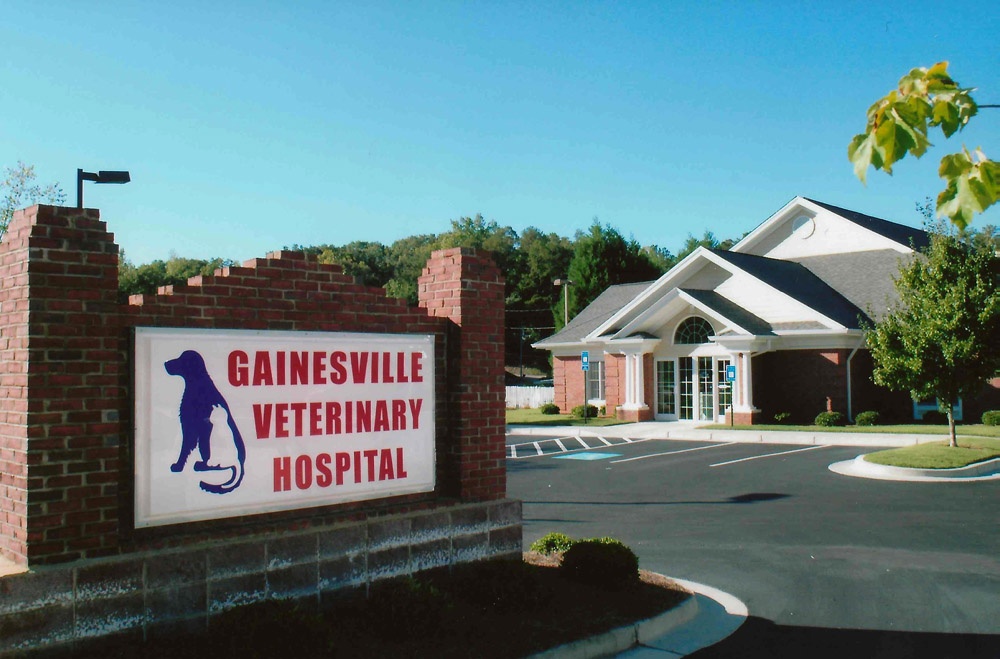 Gainesville Veterinary Hospital photo