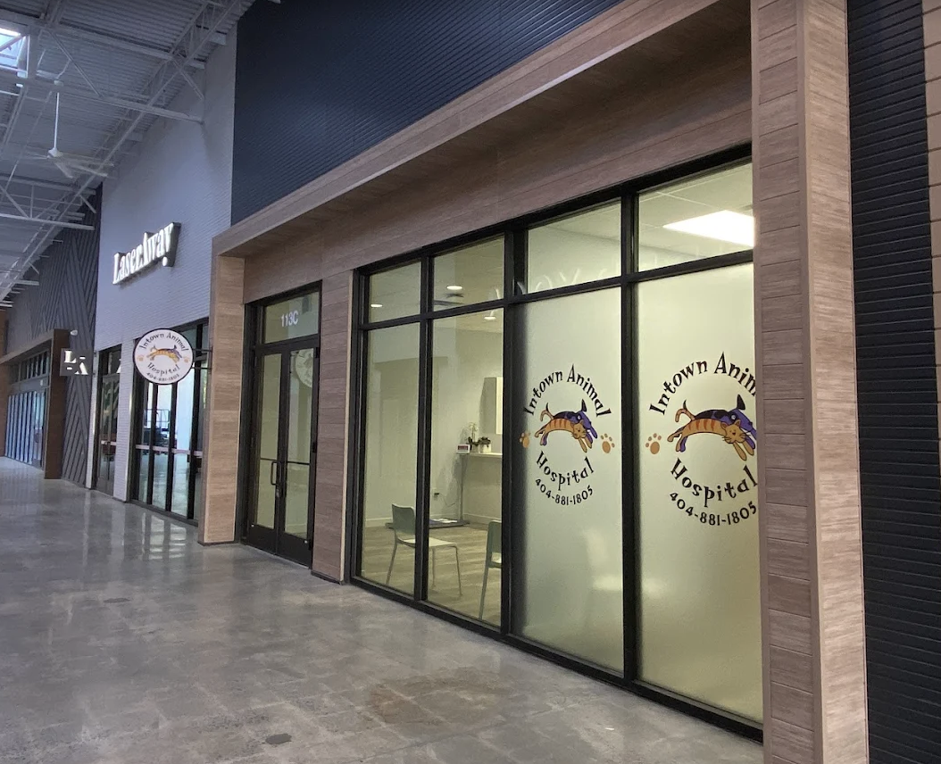 Intown Animal Hospital photo