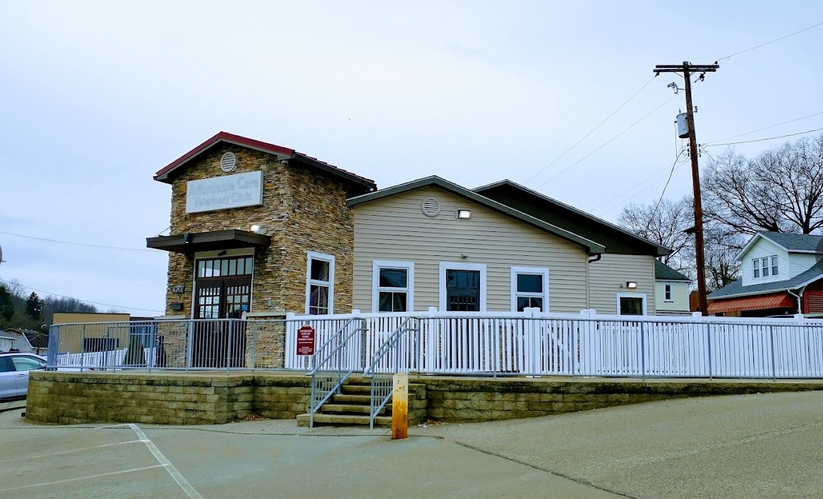 Affordable Care Vet Clinic photo