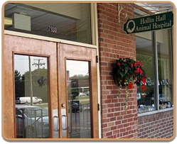 Hollin Hall Animal Hospital photo