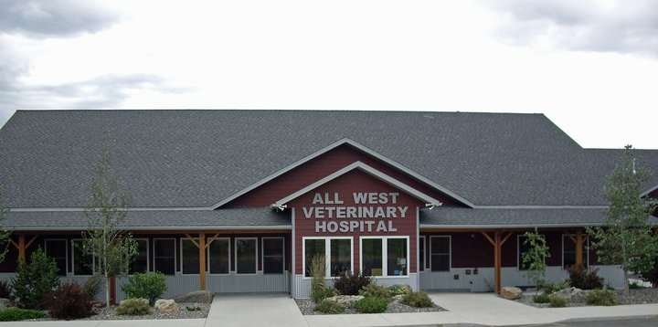 All West Veterinary Hospital photo