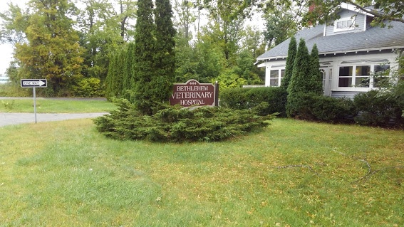 Bethlehem Veterinary Hospital  photo