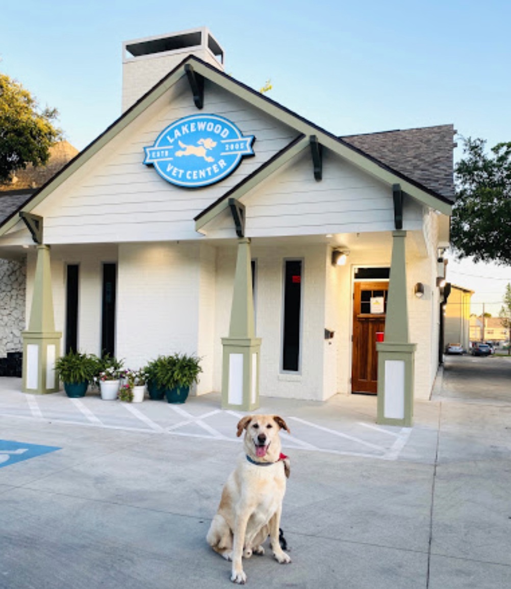 Lakewood Veterinary Center photo