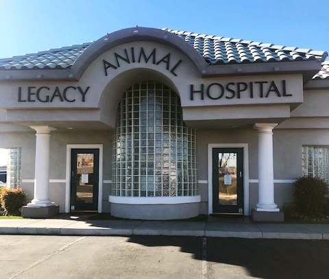 Legacy Animal Hospital photo