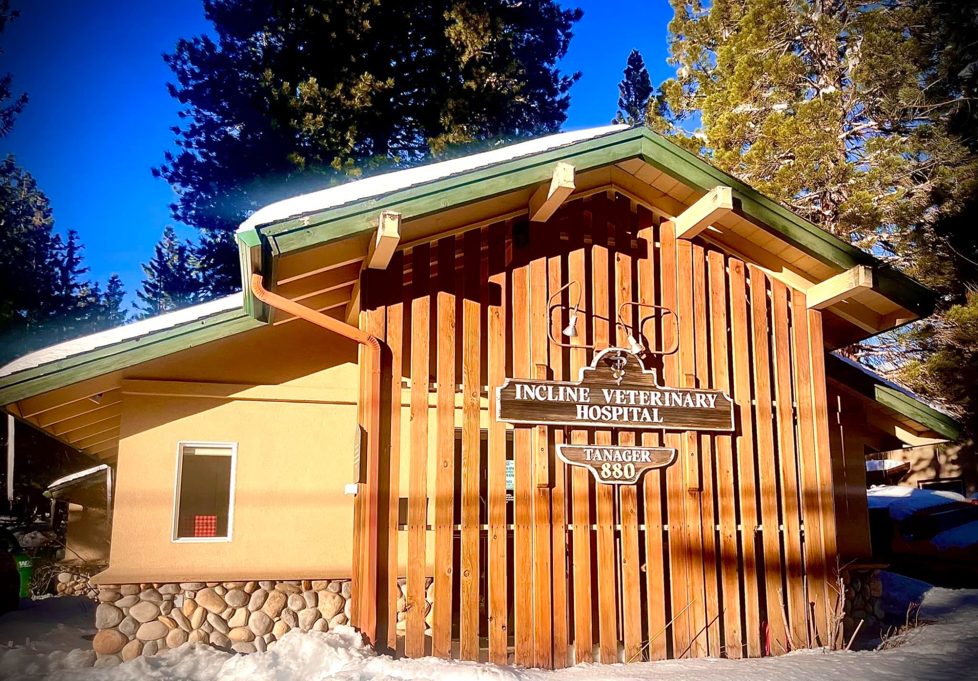 Incline Veterinary Hospital photo