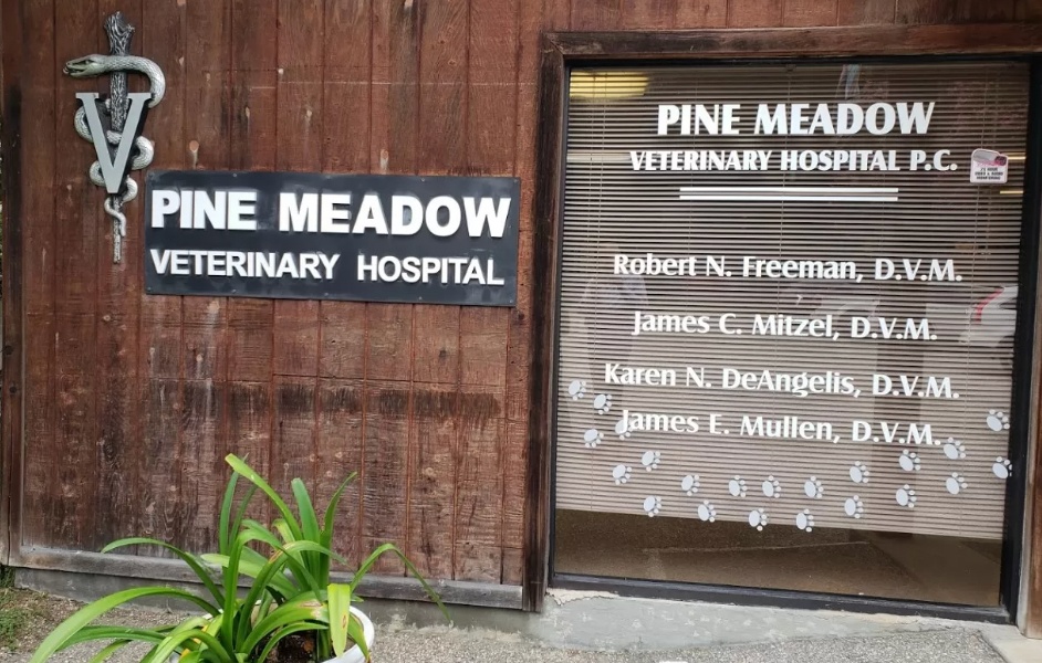 Pine Meadow Veterinary Hospital photo