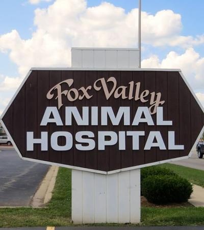 Fox Valley Animal Hospital photo