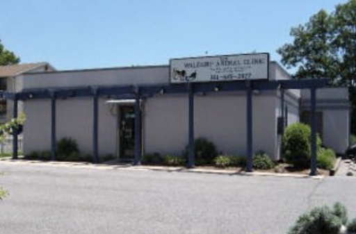 Waldorf Animal Clinic photo