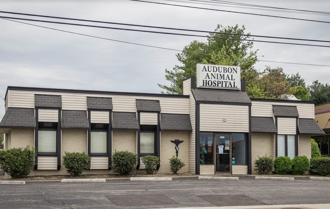 Audubon Animal Hospital photo