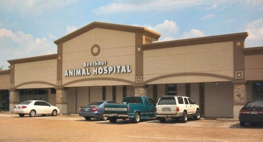 Beechnut Animal Hospital photo