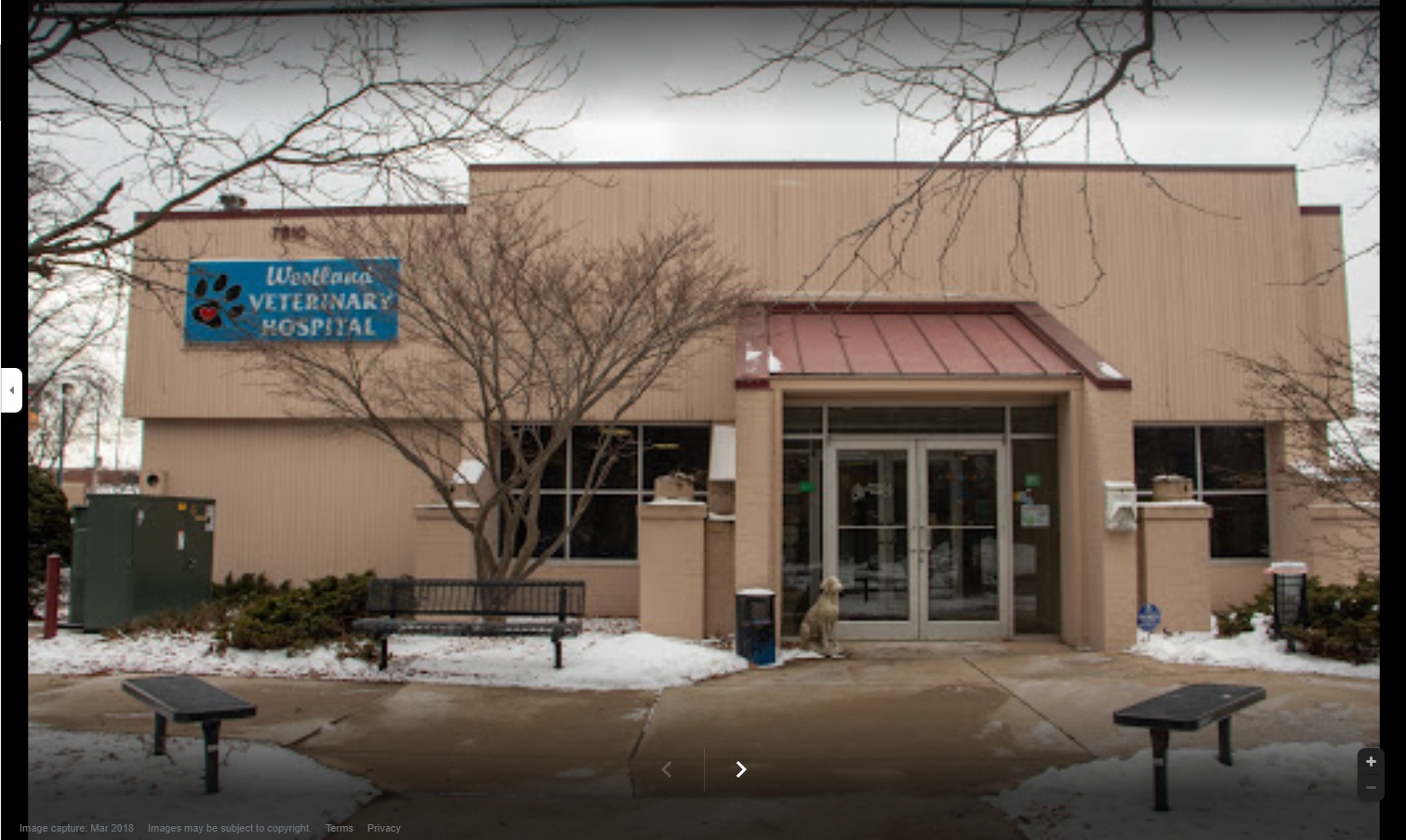Westland Veterinary Hospital photo