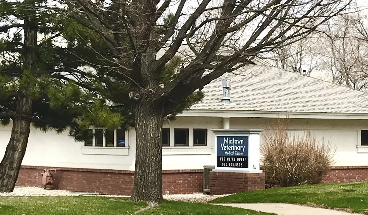 Midtown Veterinary Medical Center photo