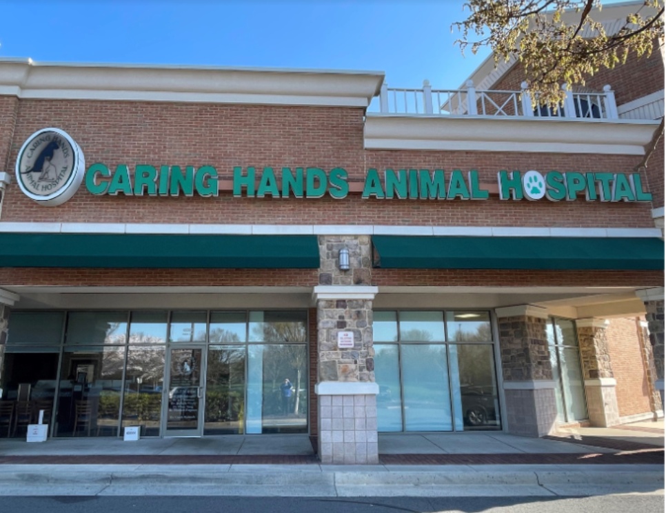 Caring Hands Animal Hospital-Ashburn photo