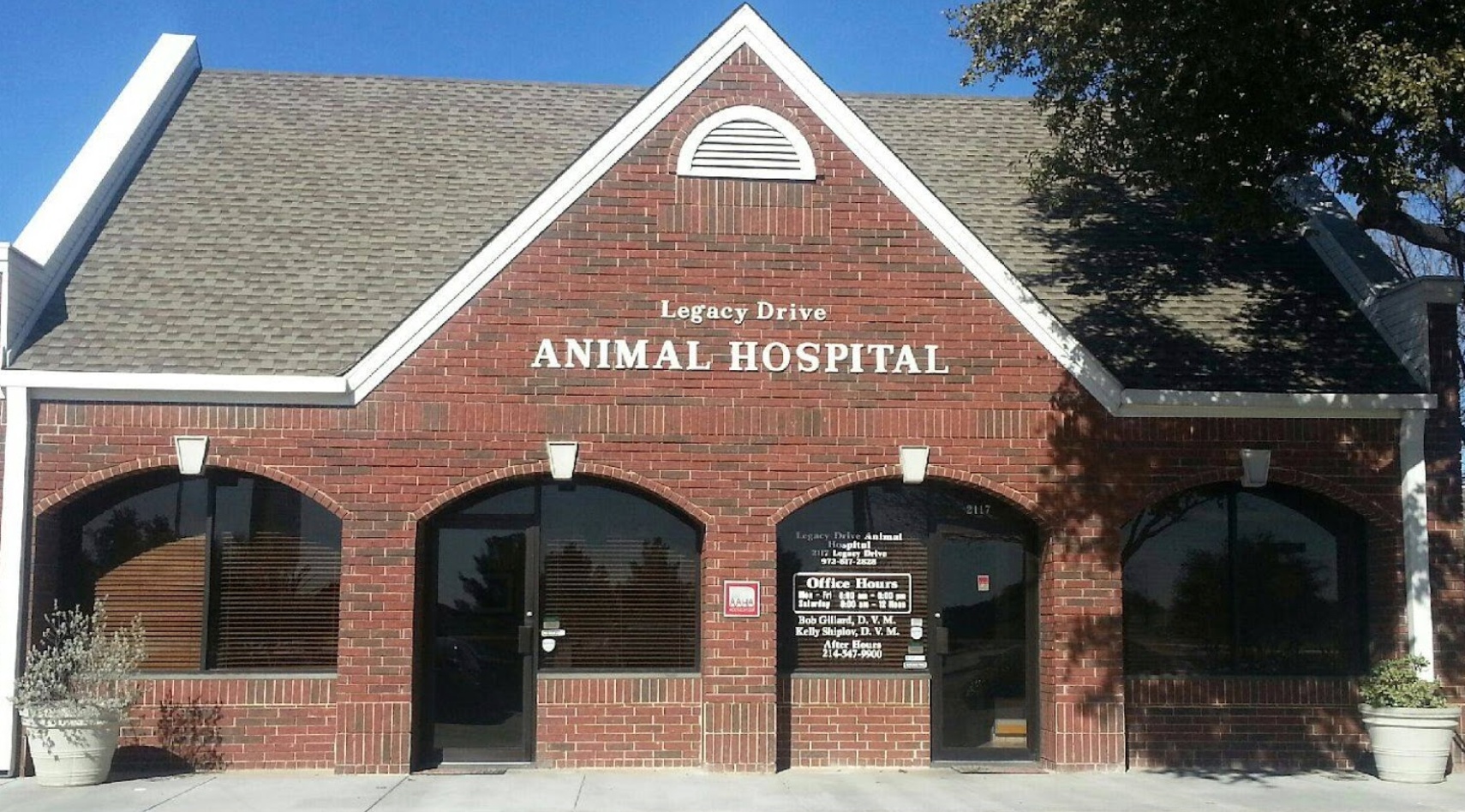 Legacy Drive Animal Hospital photo