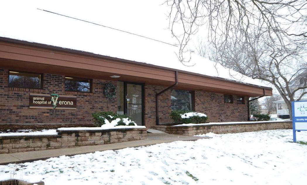 Animal Hospital of Verona photo