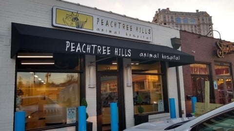 Peachtree Hills Animal Hospital photo