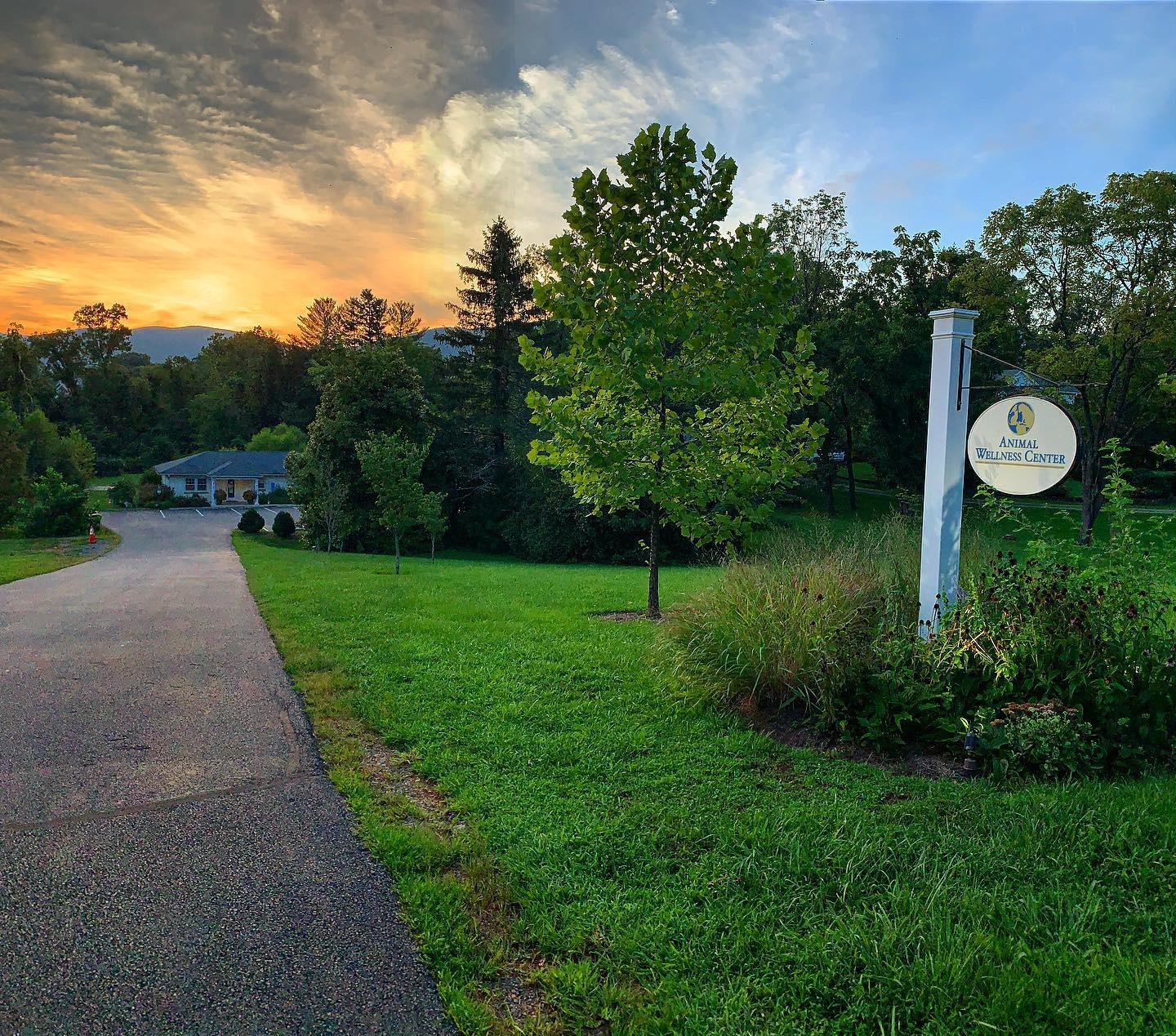 Animal Wellness Center photo