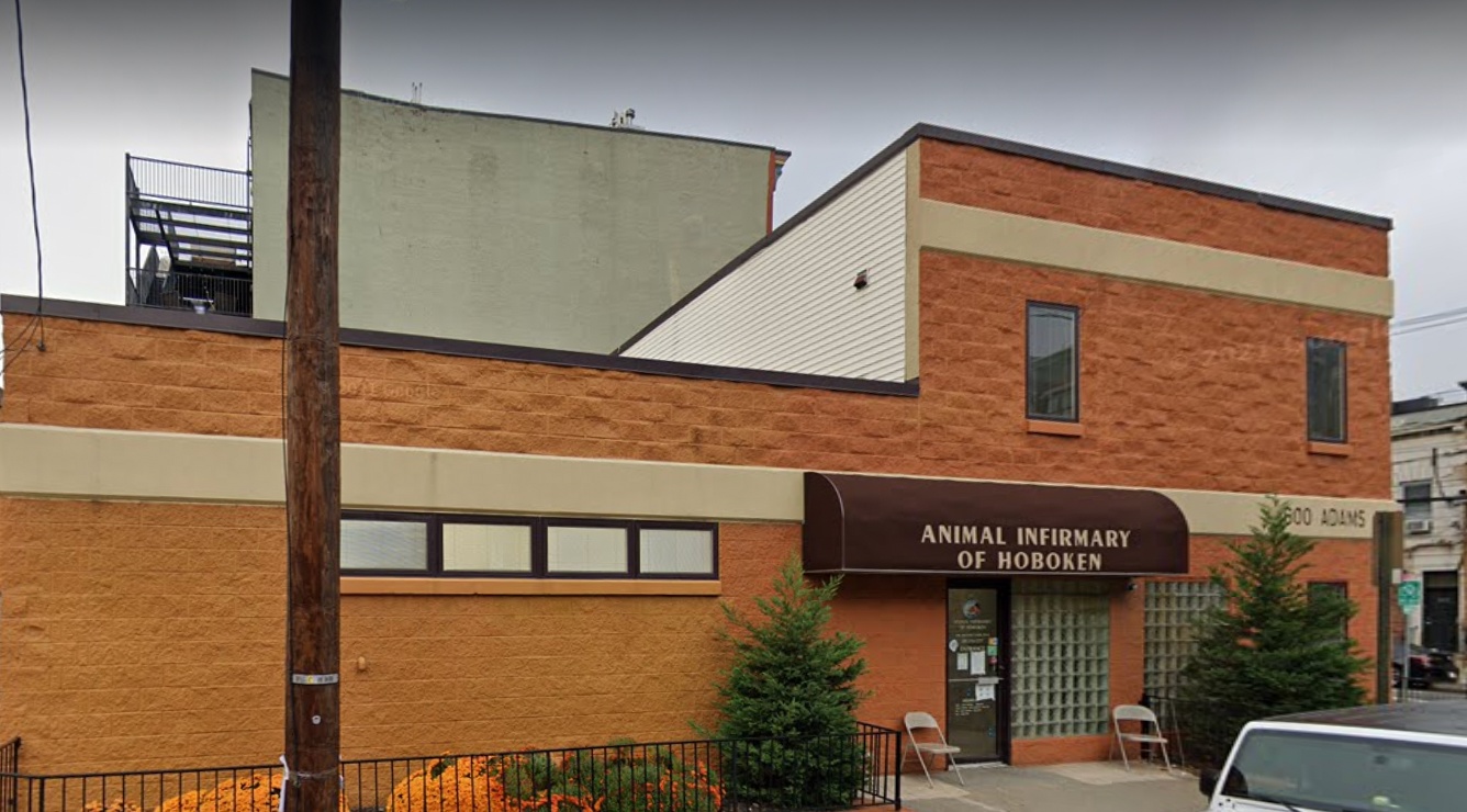 Animal Infirmary of Hoboken photo