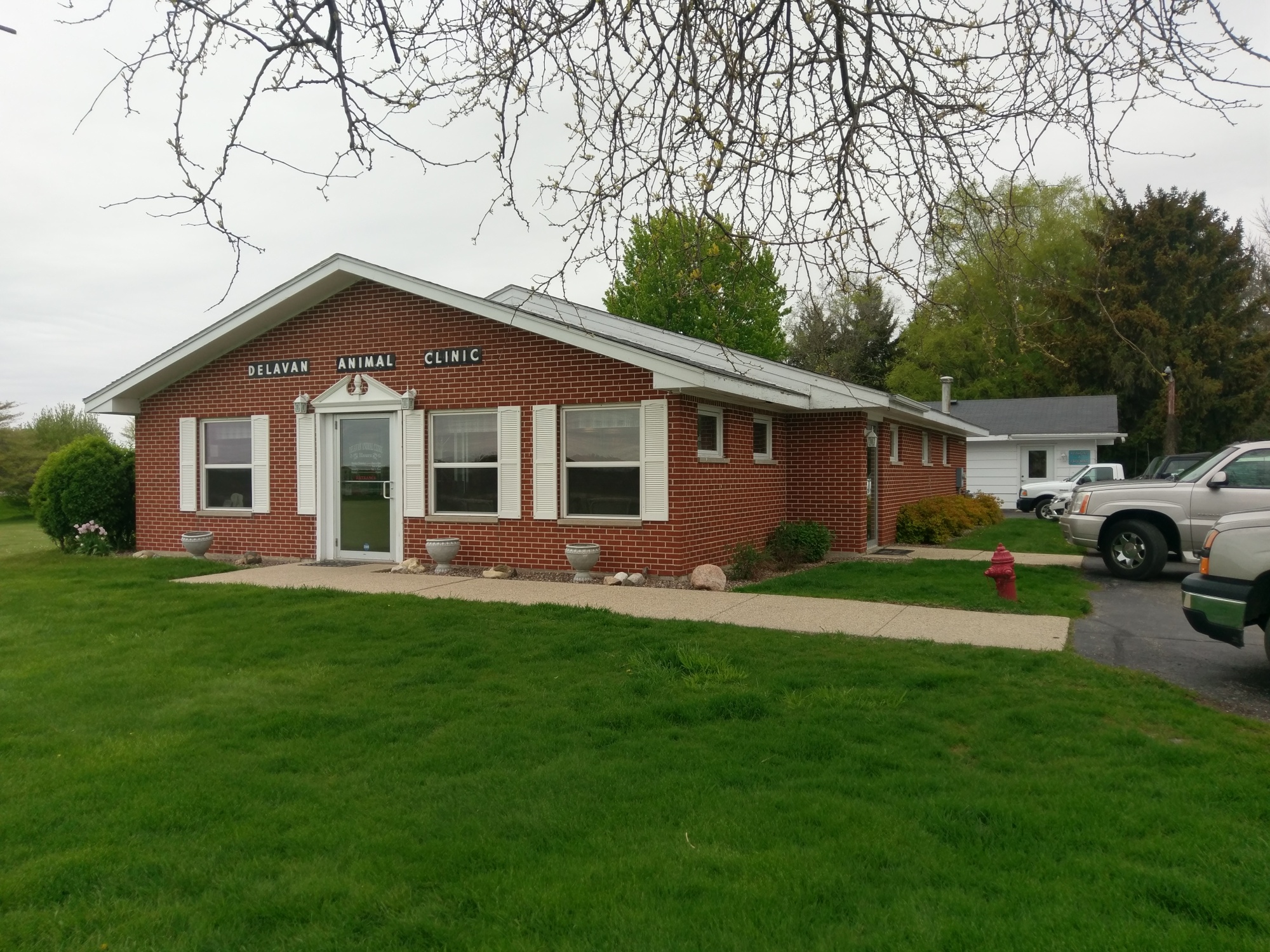 Delavan Animal Clinic photo