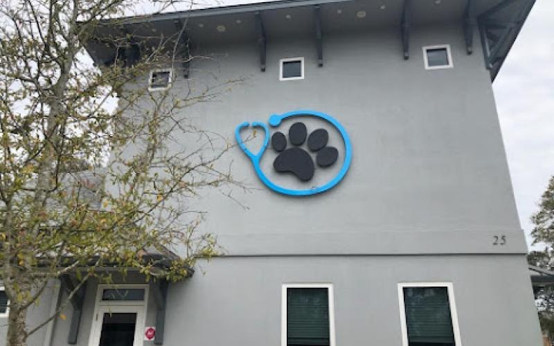 Companion Animal Hospital photo