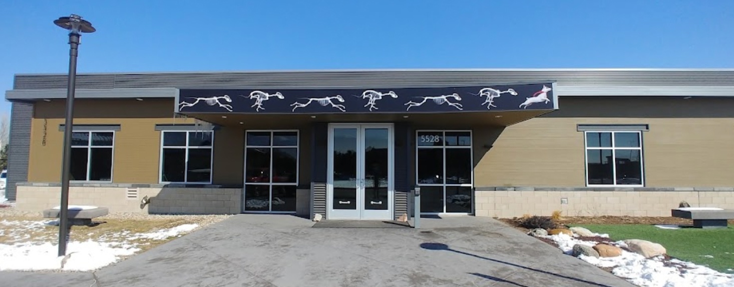 Colorado Canine Orthopedics photo