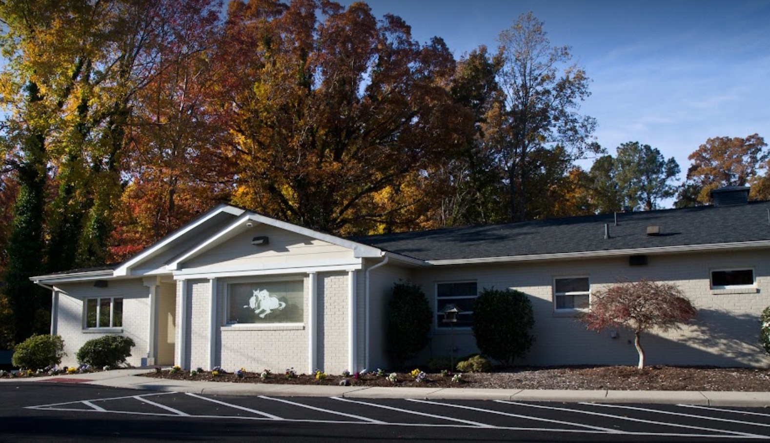 Colony Animal Hospital photo
