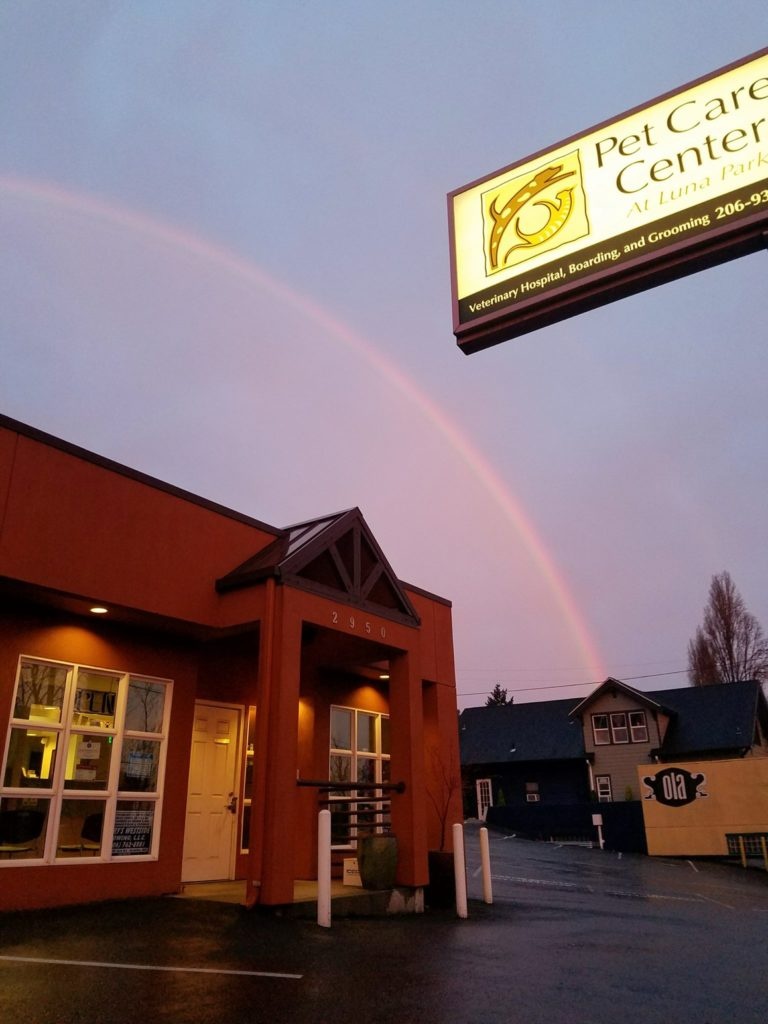 Pet Care Center at Luna Park photo