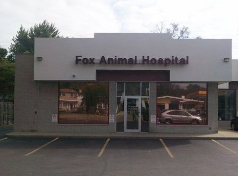 Fox Animal Hospital photo