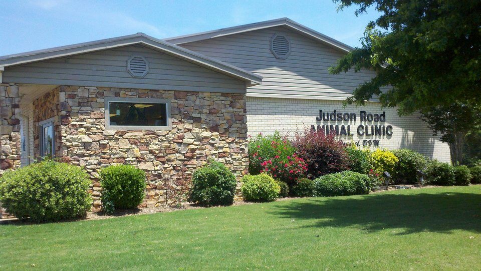Judson Road Animal Clinic photo