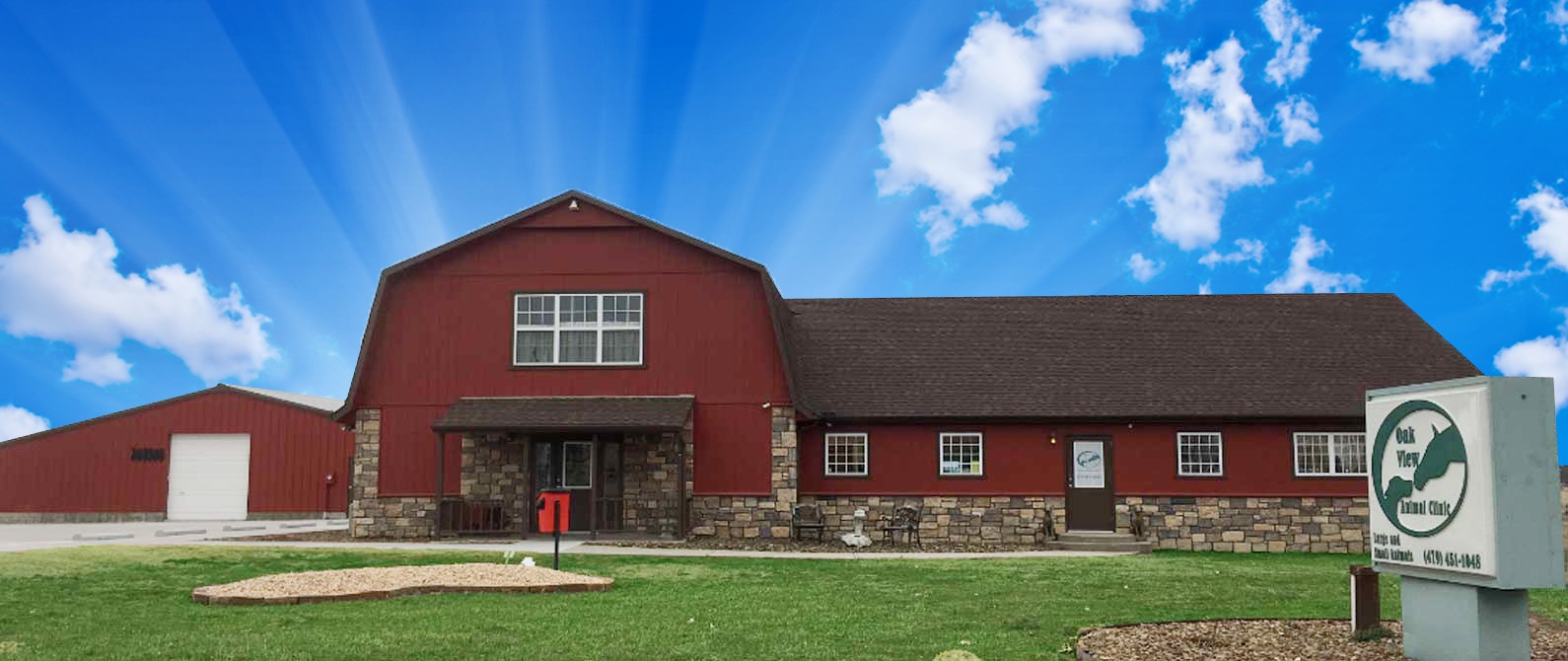 Oakview Animal Clinic photo