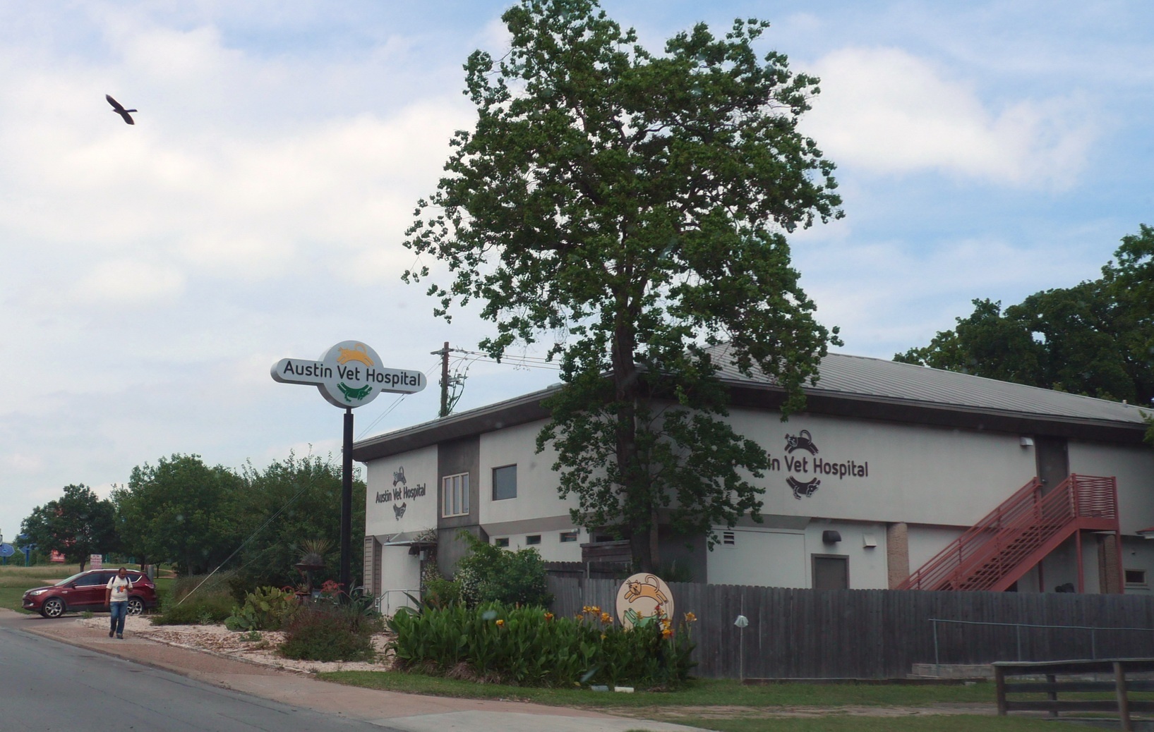 Austin Vet Hospital photo