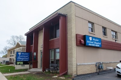 Mayfair Animal Hospital photo
