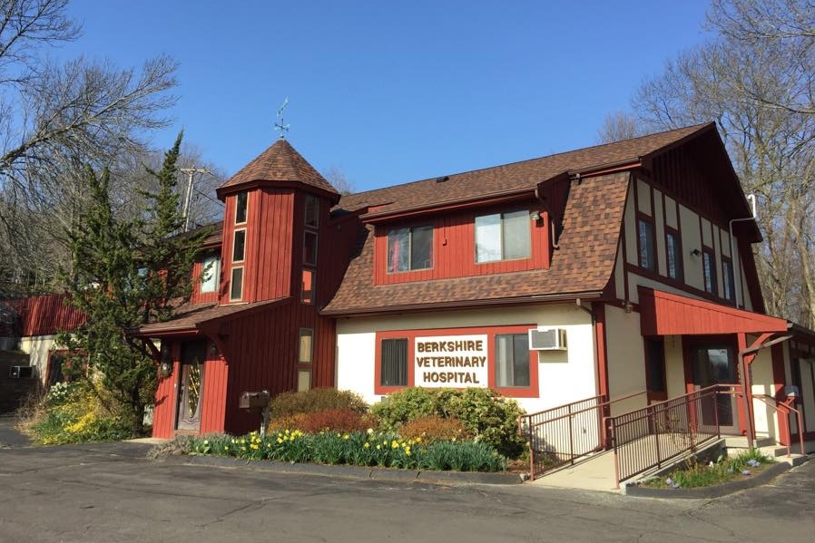 Berkshire Veterinary Hospital photo