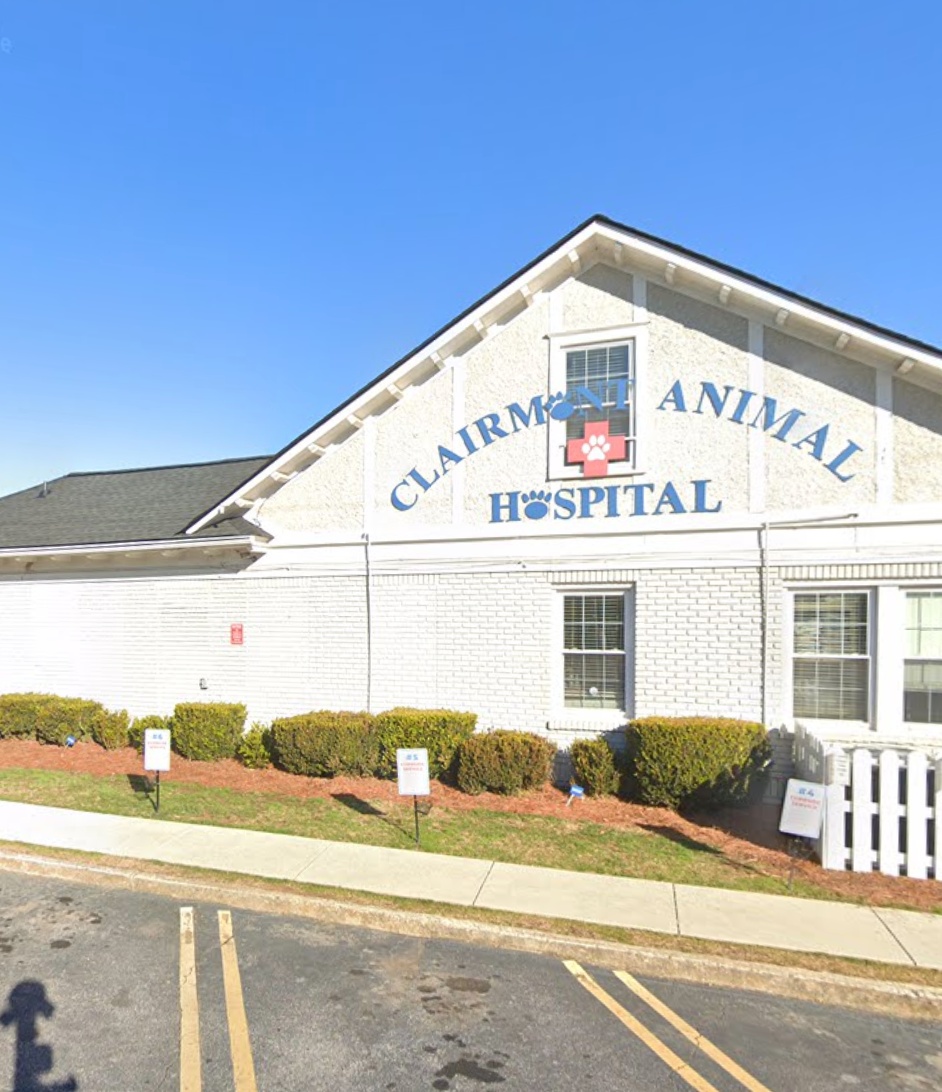 Clairmont Animal Hospital photo