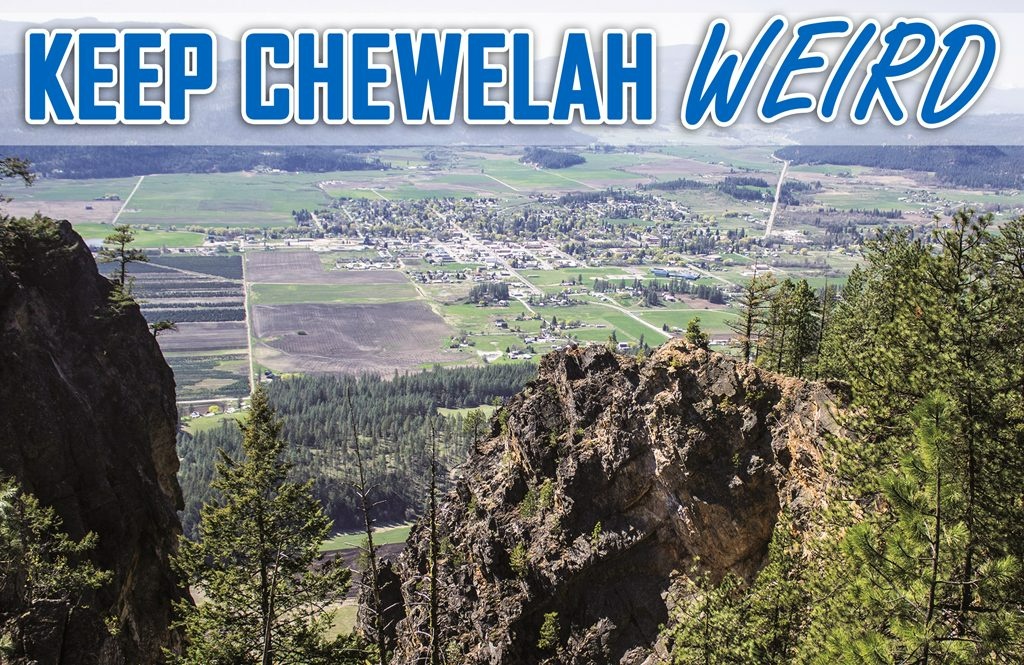 Chewelah Veterinary Clinic photo