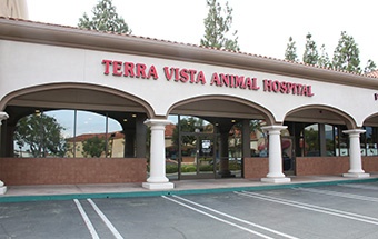 Terra Vista Animal Hospital photo