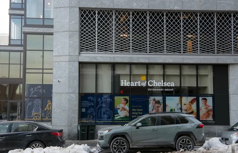 Heart of Chelsea Veterinary Group - Greenpoint photo