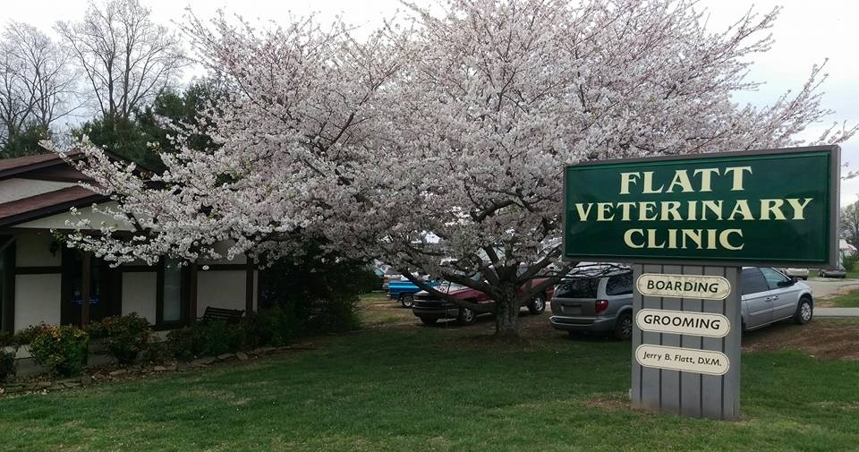 Flatt Veterinary Clinic photo
