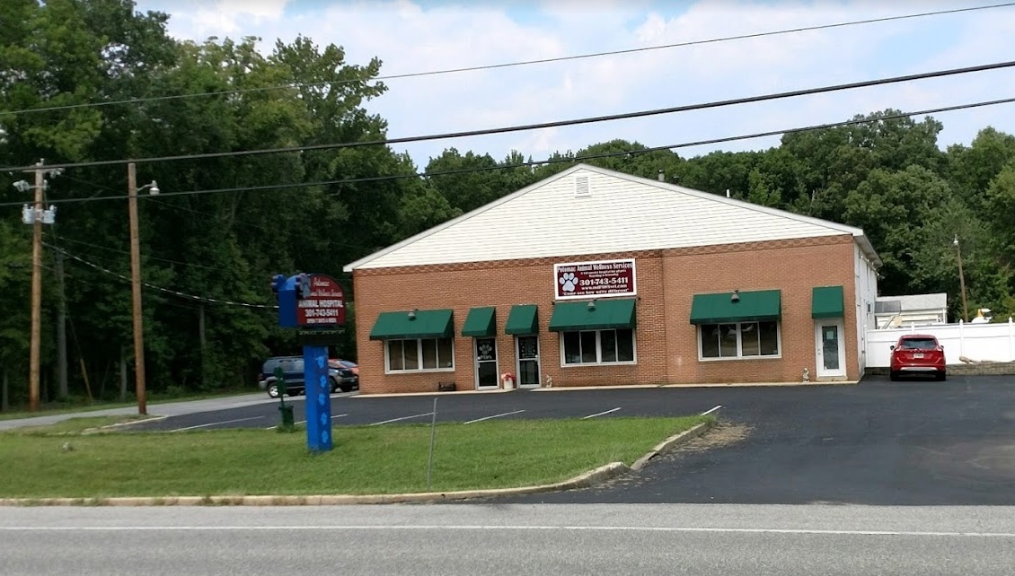  Potomac Animal Wellness Services photo