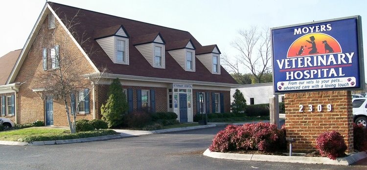 Moyers Veterinary Hospital photo