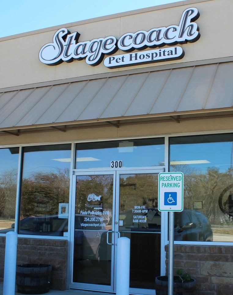 Stagecoach Pet Hospital photo