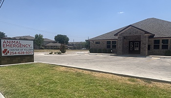 Animal Emergency Center of Killeen photo