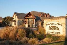 Campbell Park Animal Hospital photo