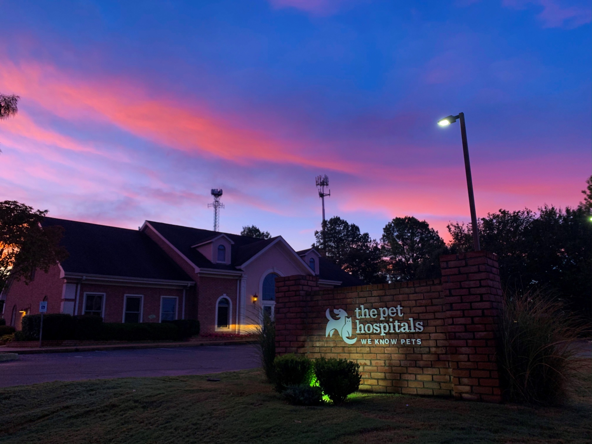 The Pet Hospitals photo