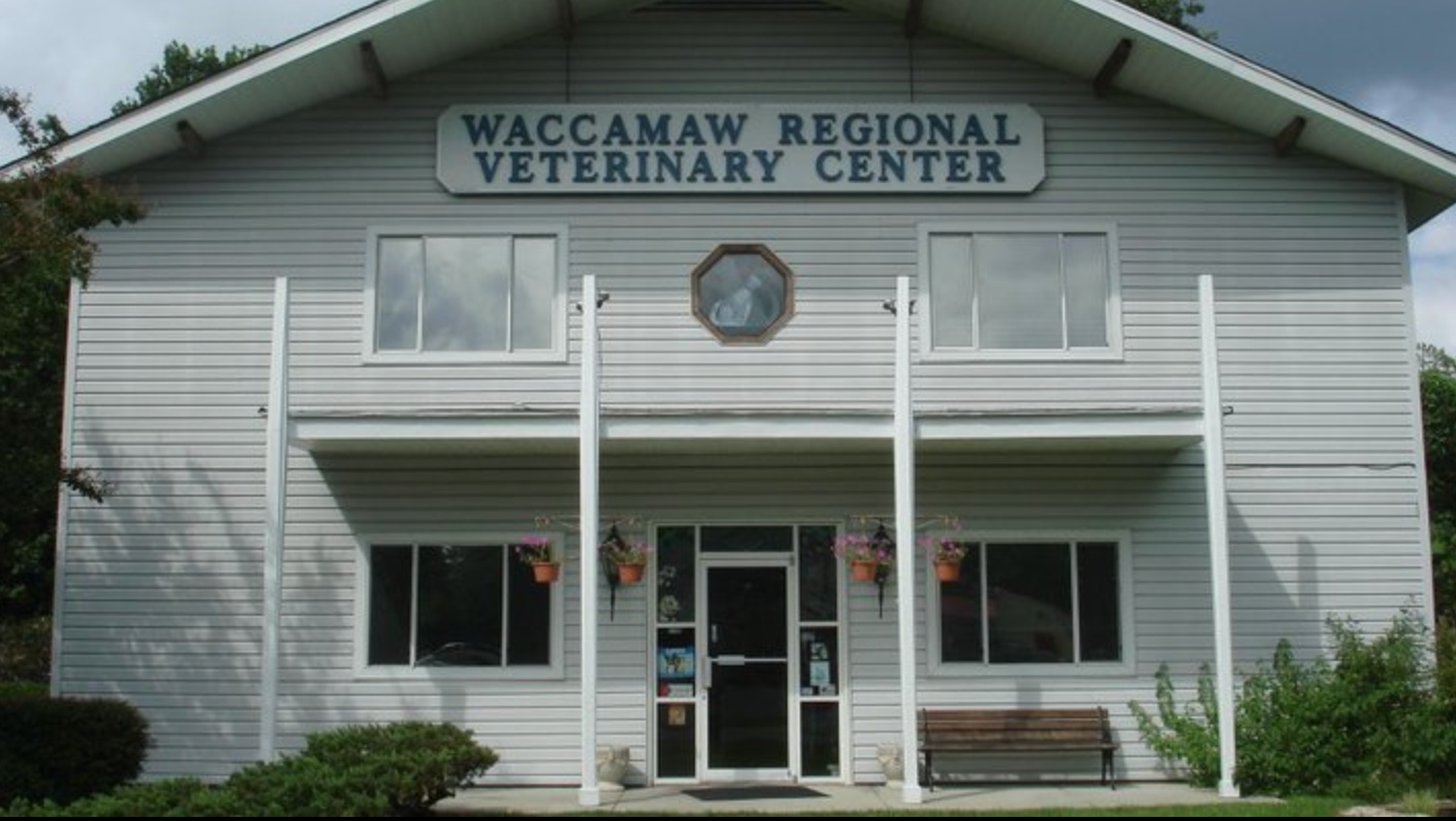 Waccamaw Regional Veterinary Center photo
