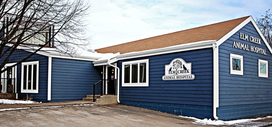 Elm Creek Animal Hospital photo