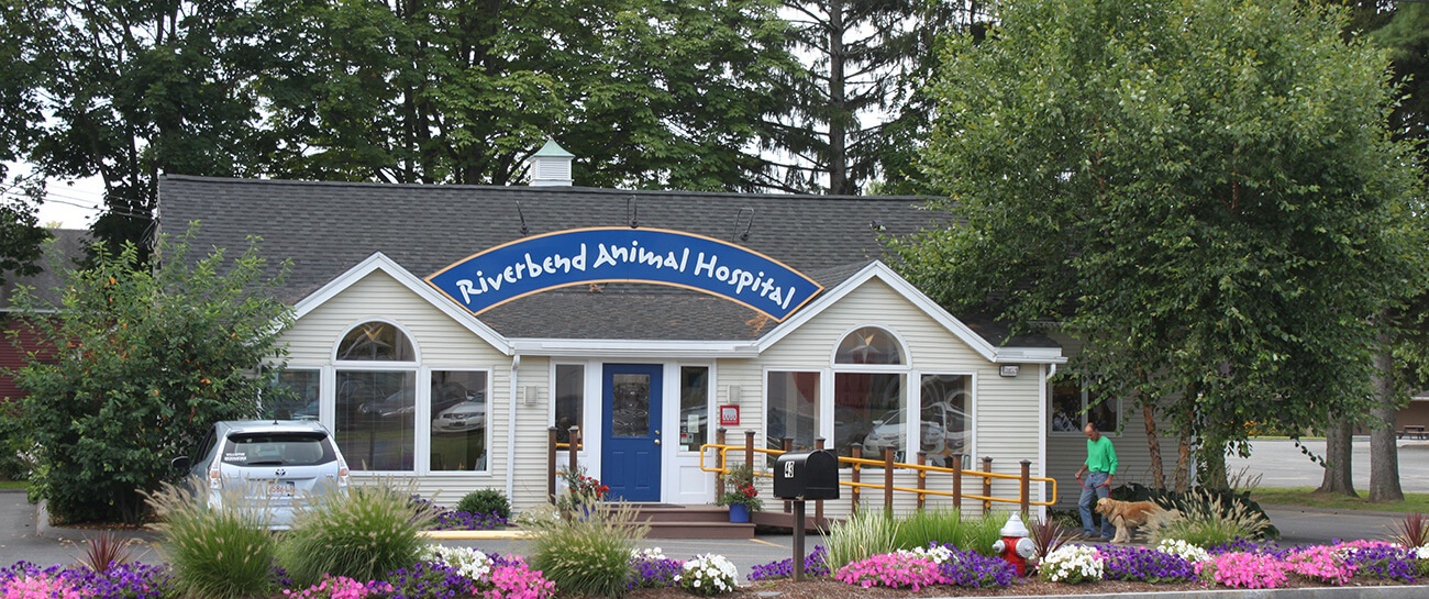 Riverbend Animal Hospital photo