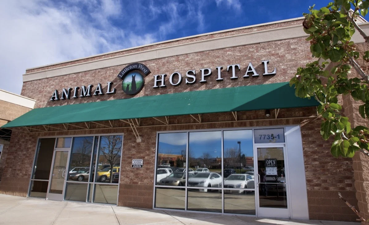 Littleton West Animal Hospital photo